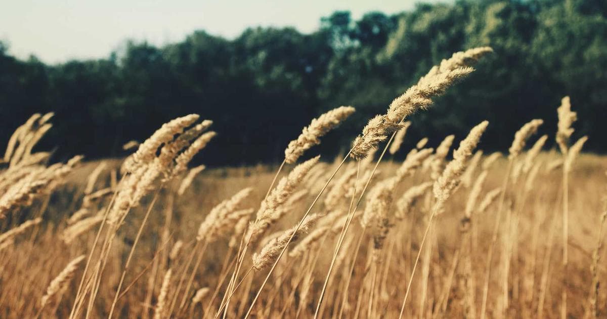 Risk Yönetimi: Yatırımlarınızı Nasıl Korursunuz?