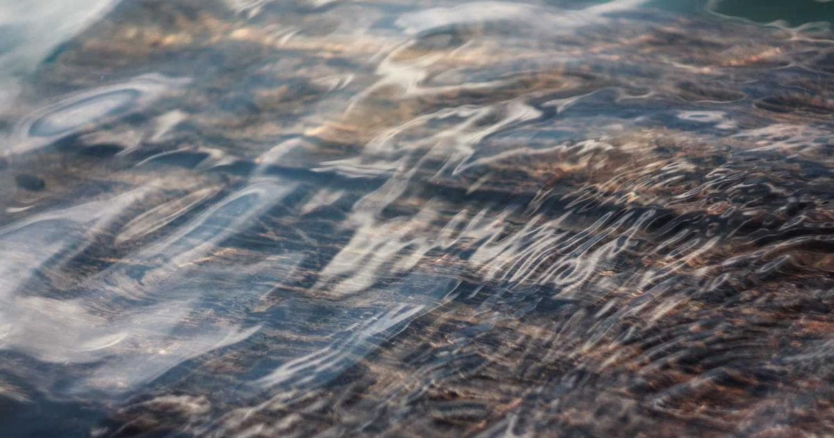 API Design: RESTful API Best Practices