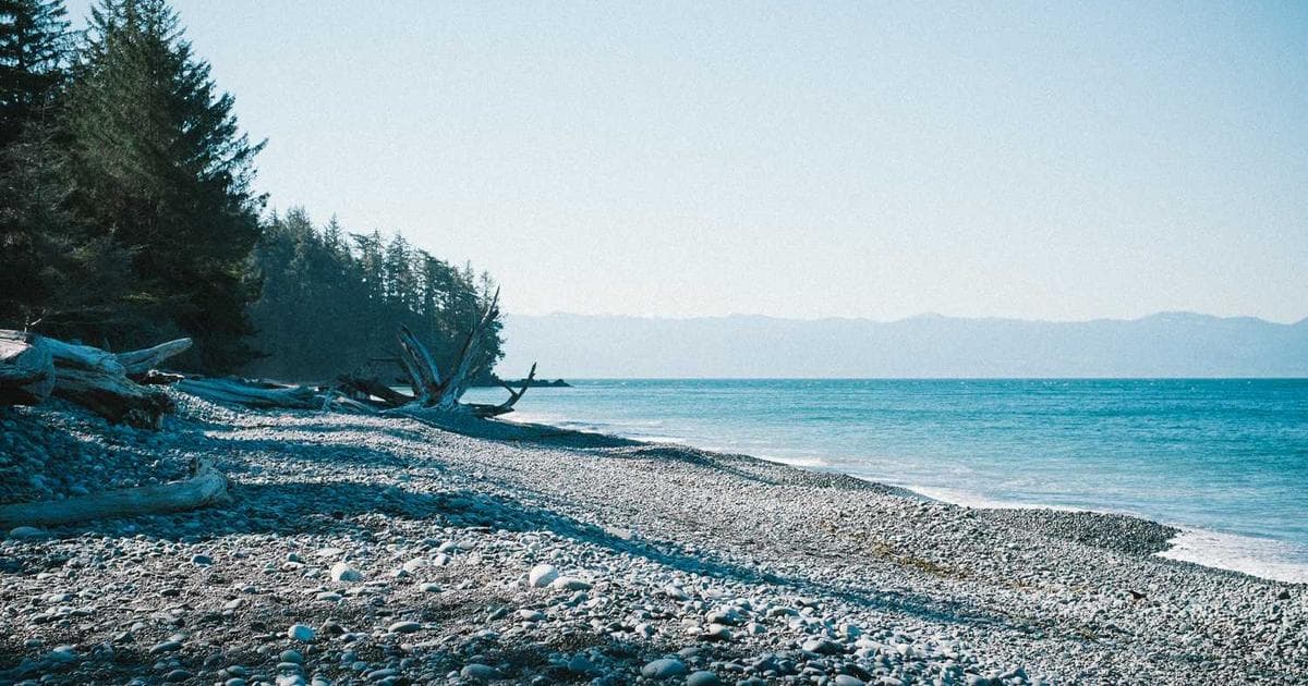 Reinforcement Learning: Öğrenme ve Adaptasyon