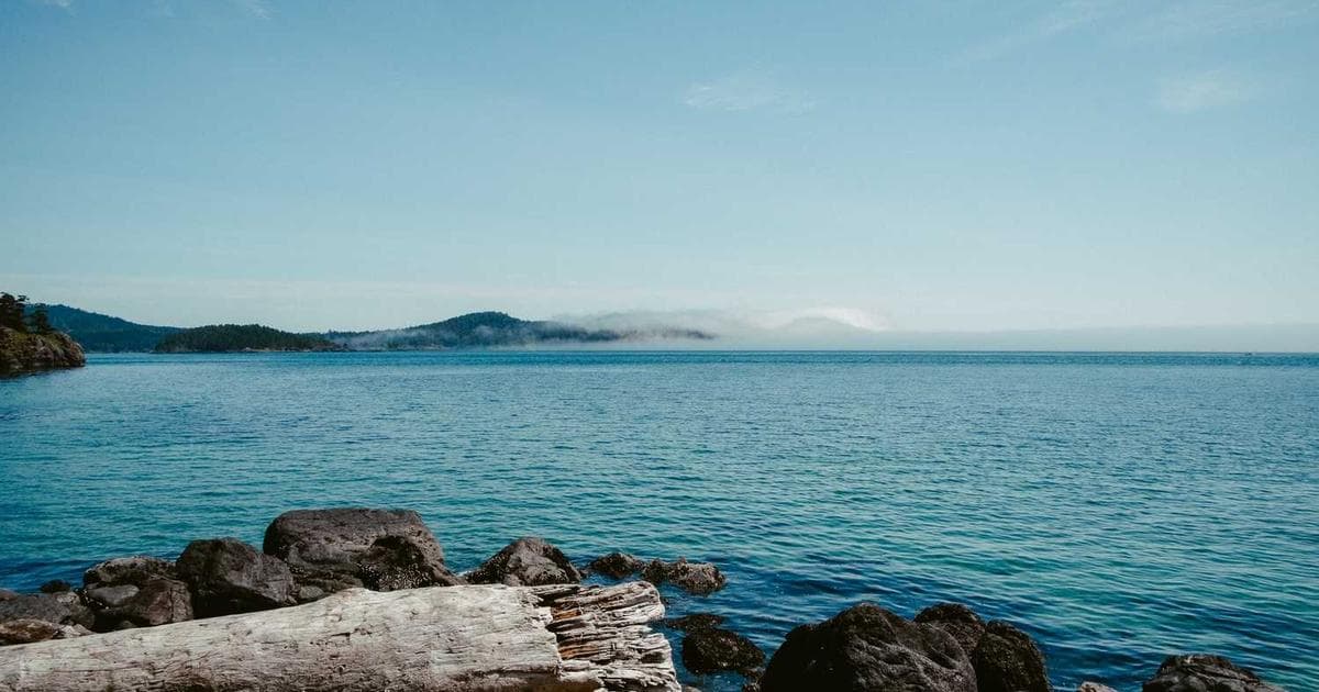 Vergi Planlaması: Yatırımcılar İçin Rehber