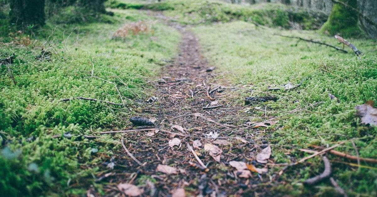 Yapay Zeka ve Gelecek: 2025'te Neler Bizi Bekliyor?