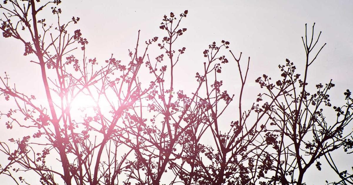 Finansal Okuryazarlık: Temel Kavramlar