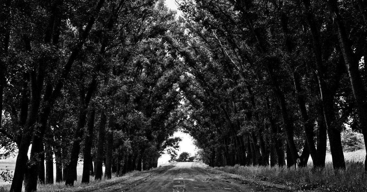 Derin Öğrenme ve Neural Network'ler