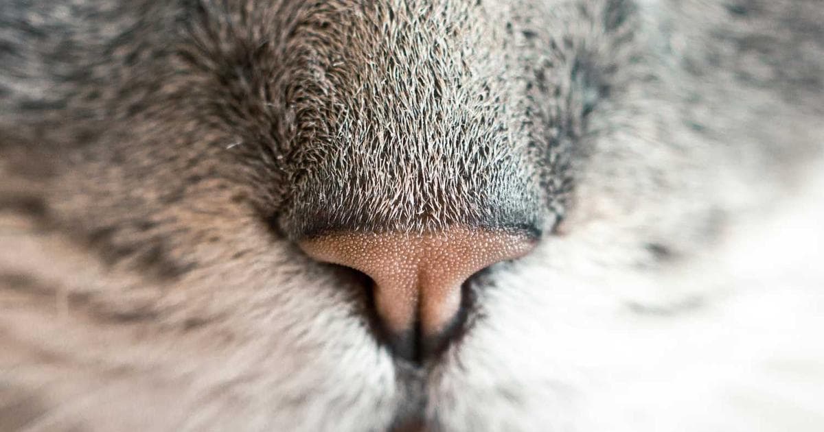 AI'nin Geleceği: 2030 Öngörüleri