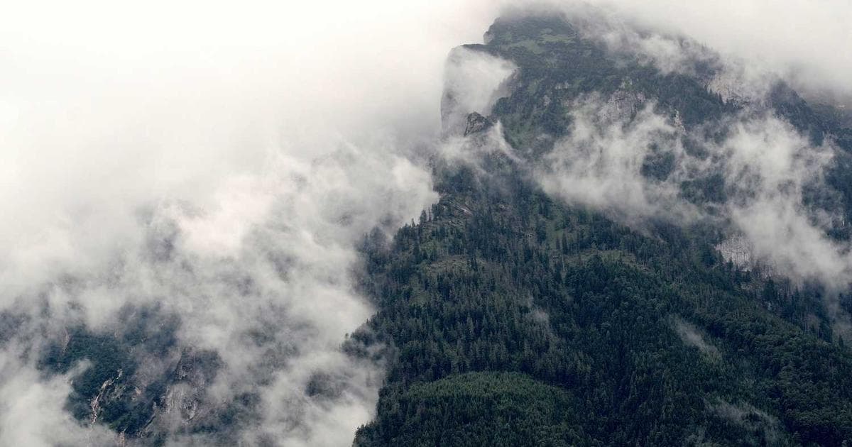 Güvenlik ve Siber Tehditler