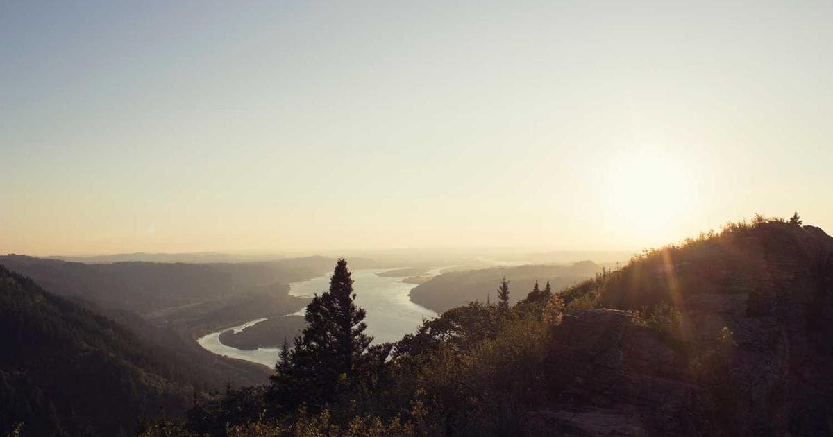 AI ve Finans: Algoritmik Trading ve Risk Yönetimi