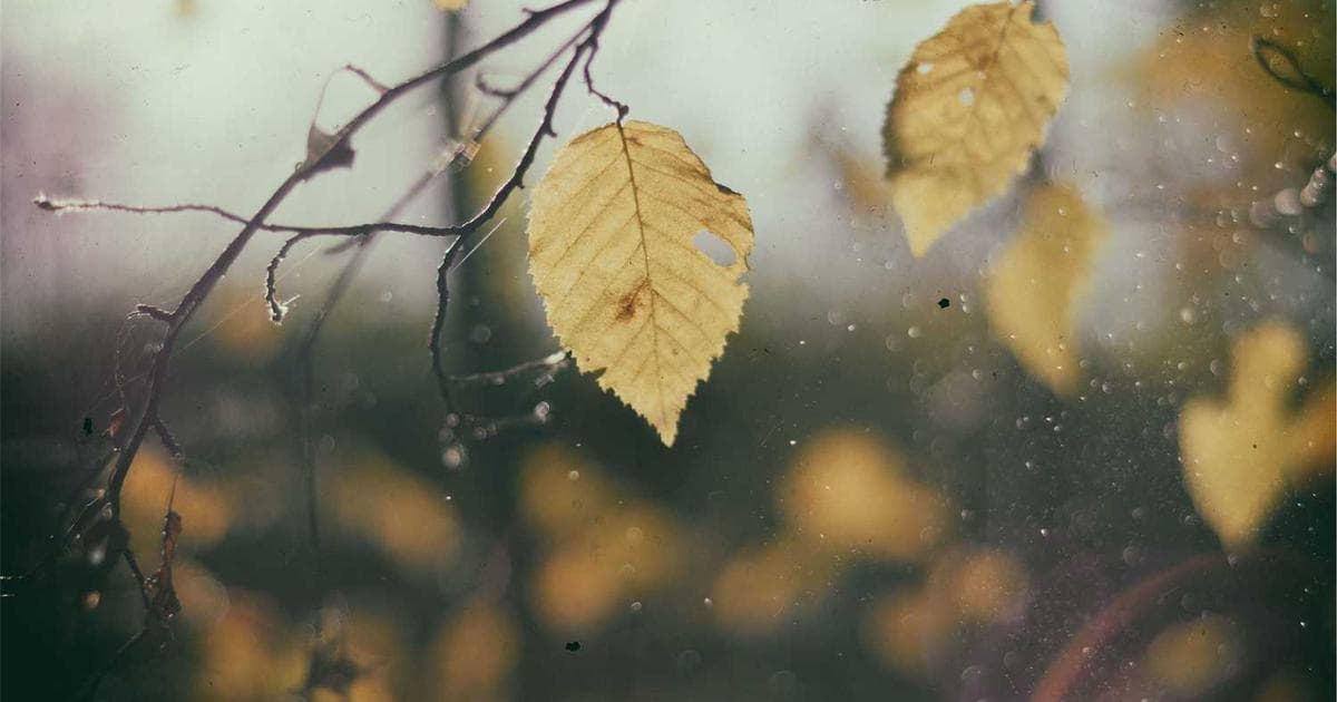 2025 Dünya Ekonomisi: Trendler ve Öngörüler