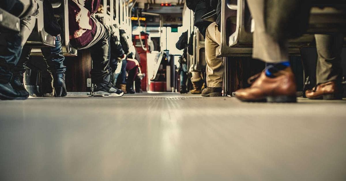 Mobile App Development: React Native vs Flutter