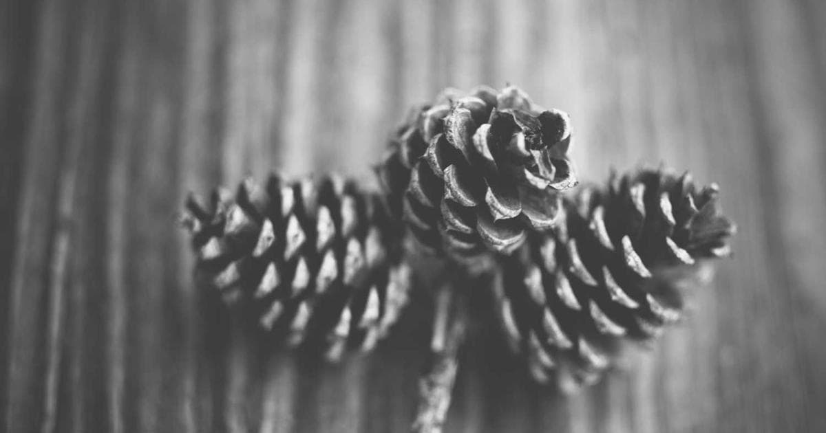 Otomatik Araçlar ve Otonom Sistemler