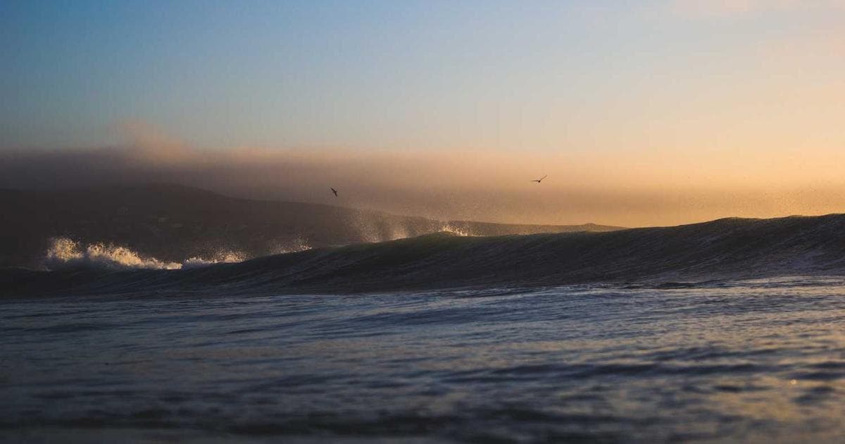 Forex Trading: Başlangıç Rehberi